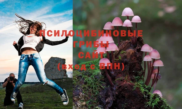 Альфа ПВП Балахна