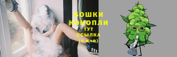 МДПВ Бронницы